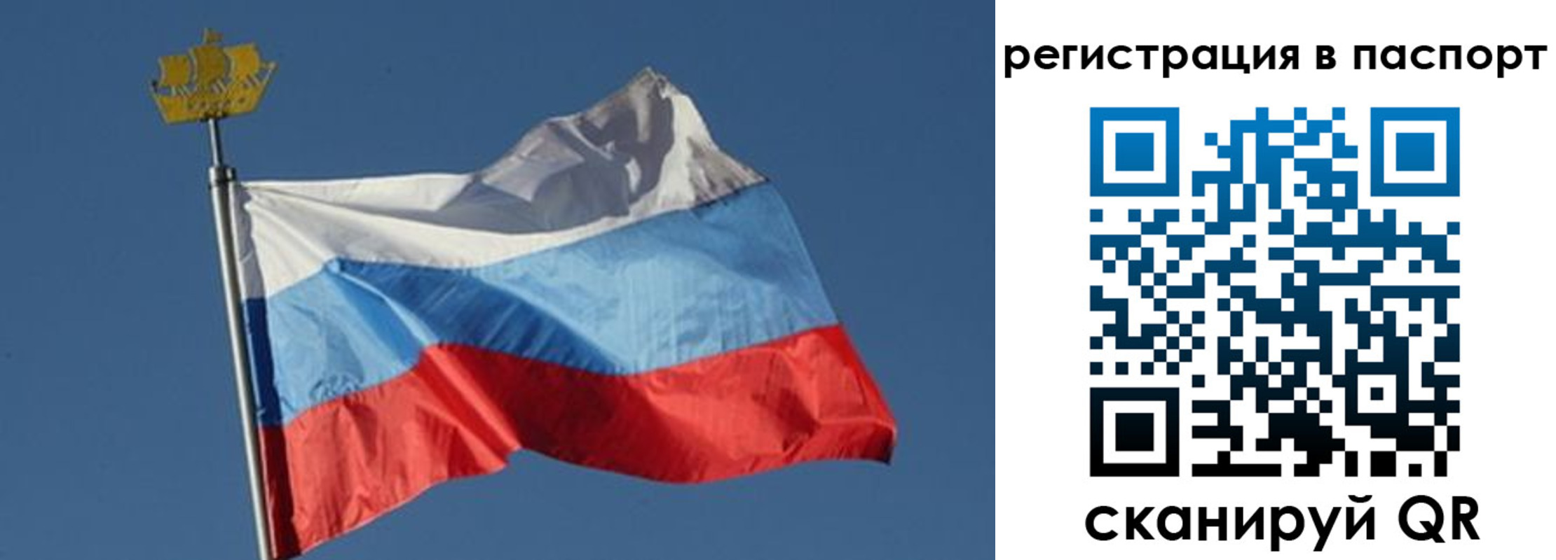 временная регистрация законно в Кашине